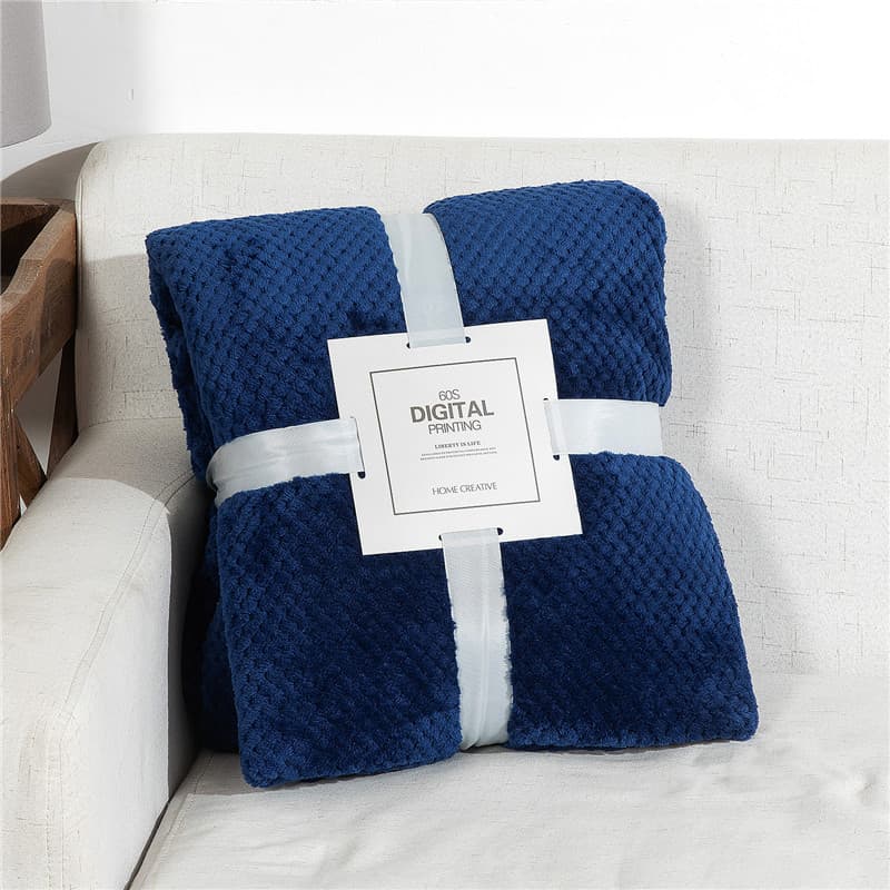 Coral Fleece Blanket Flannel Pineapple Grid Blanket Winter Solid Color Fleece Blanket Nap Blanket Cross-Border Blanket
