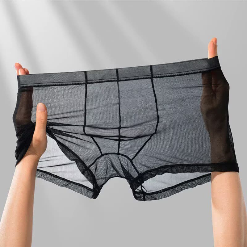 Factory Wholesale Summer Men's Thin Transparent Underwear Mid-Rise Mesh Sexy Boxer Briefs Youth Boxers