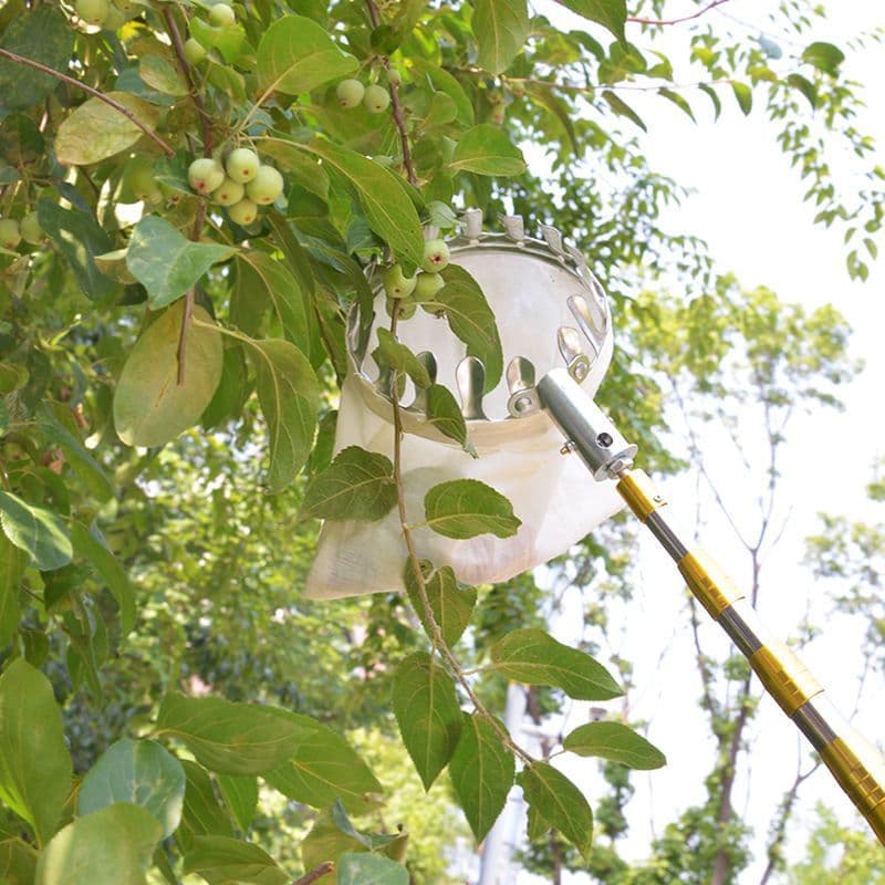 Fruit Picking Tool Telescopic Pole for Picking Plums, Persimmons, Loquats, High-Altitude Picking Hook for Yangmei, Mangoes, and Apricots