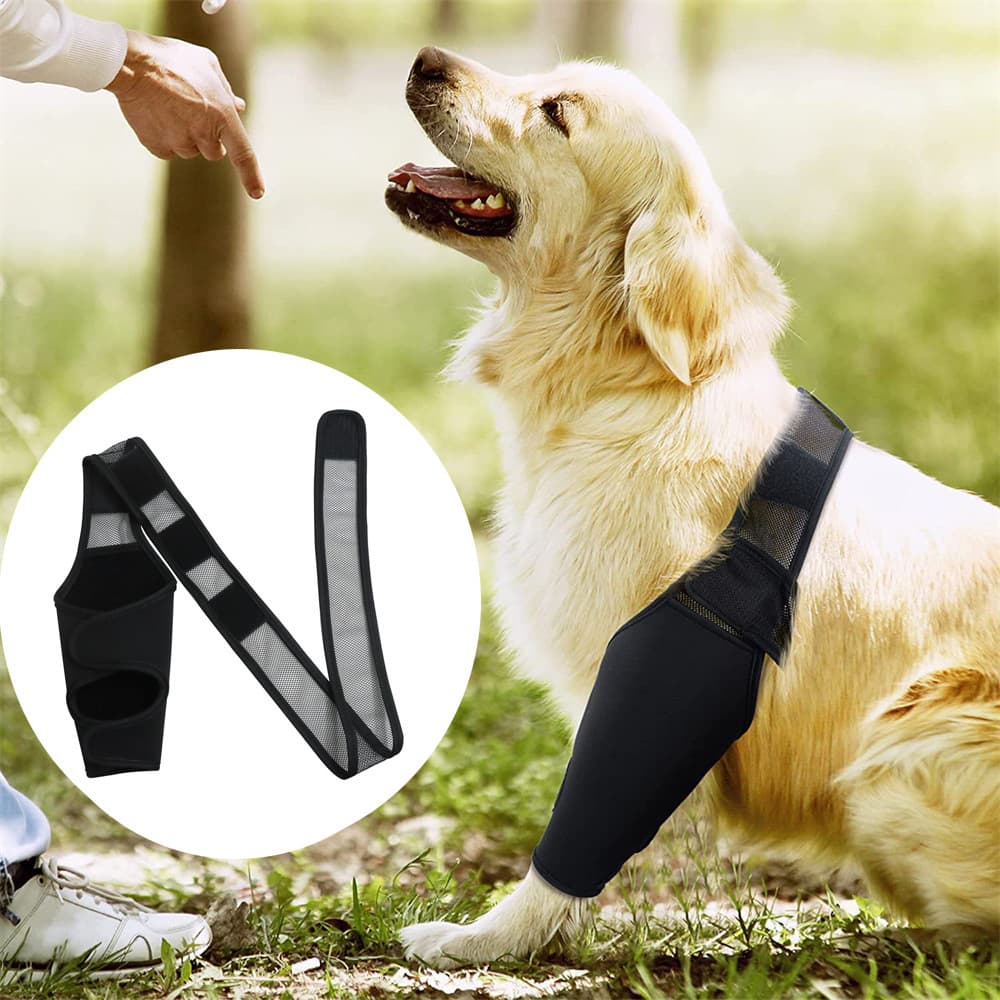 Dog Leg Protector Sleeve Pet Post-Surgery Recovery Knee Protection Limb Injury Fixation Brace Wholesale