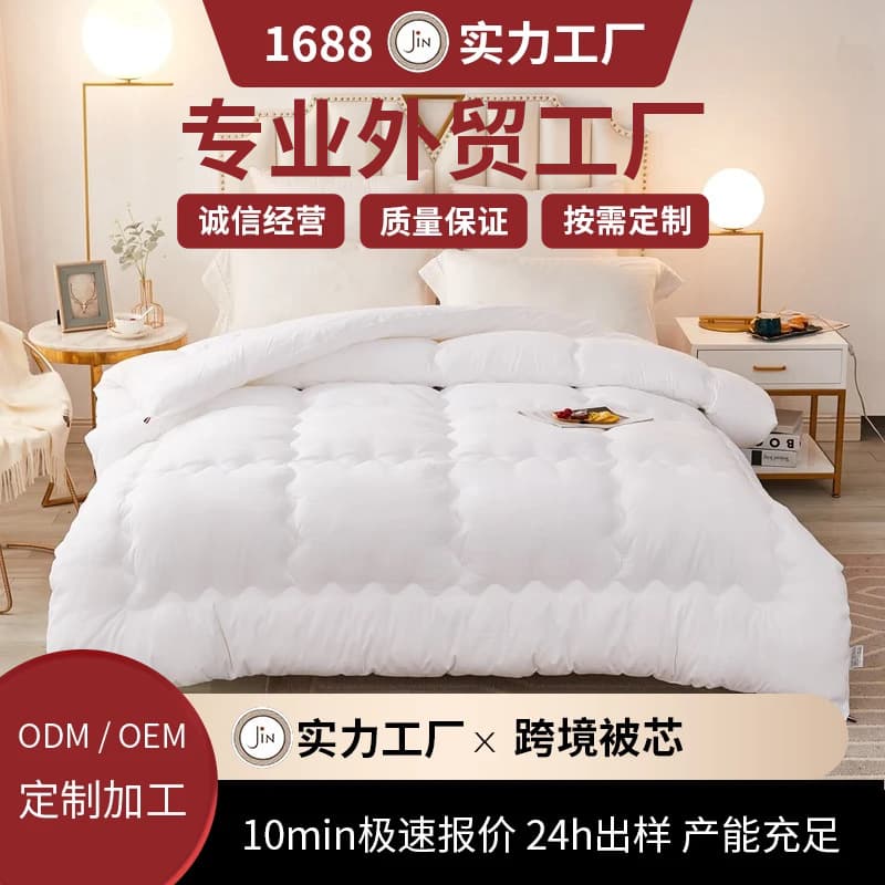 2025 New Feather Silk Duvet Insert, Brushed Embossed Warm Winter Quilt, Spring/Autumn Quilt, Student Quilt, Bulk Foreign Trade Wholesale Customization