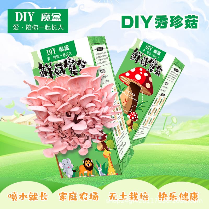 Mushroom box diy mushroom bag oyster mushroom spawn edible fungi family planting children's gift elf mushroom bag