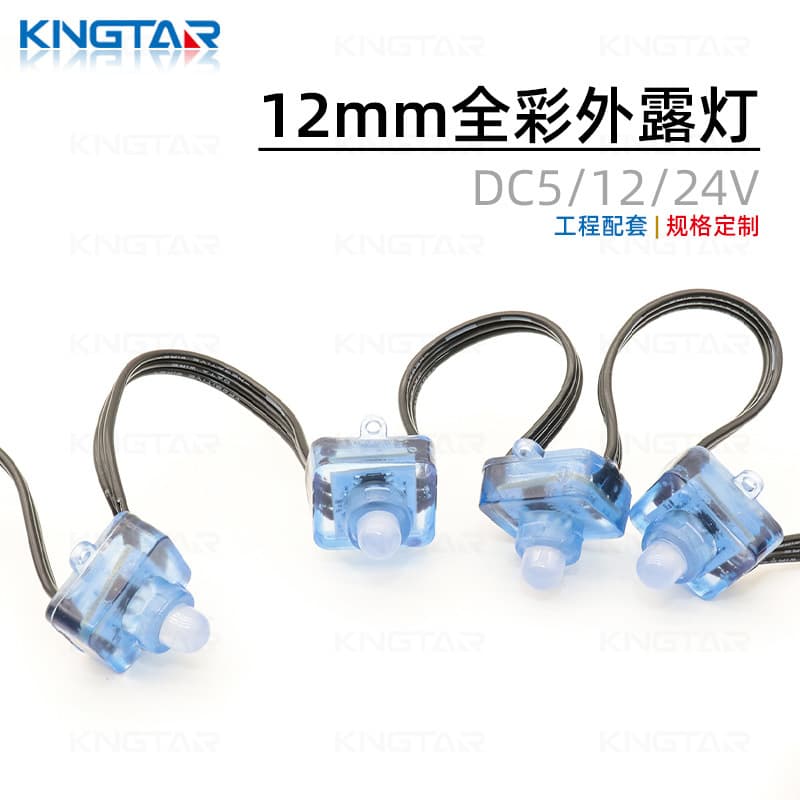 12MM Potting Waterproof Full Color LED String Lights RGB Single Lamp Single Control Addressable Programming Outdoor Lighting