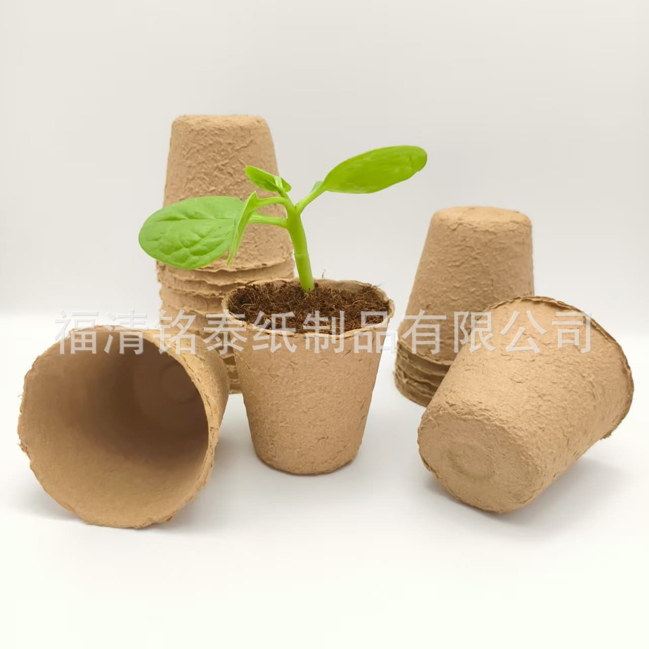 Pulp seedling cup, 8cm round pulp cup, disposable biodegradable pulp seedling pot planting nutrient cup