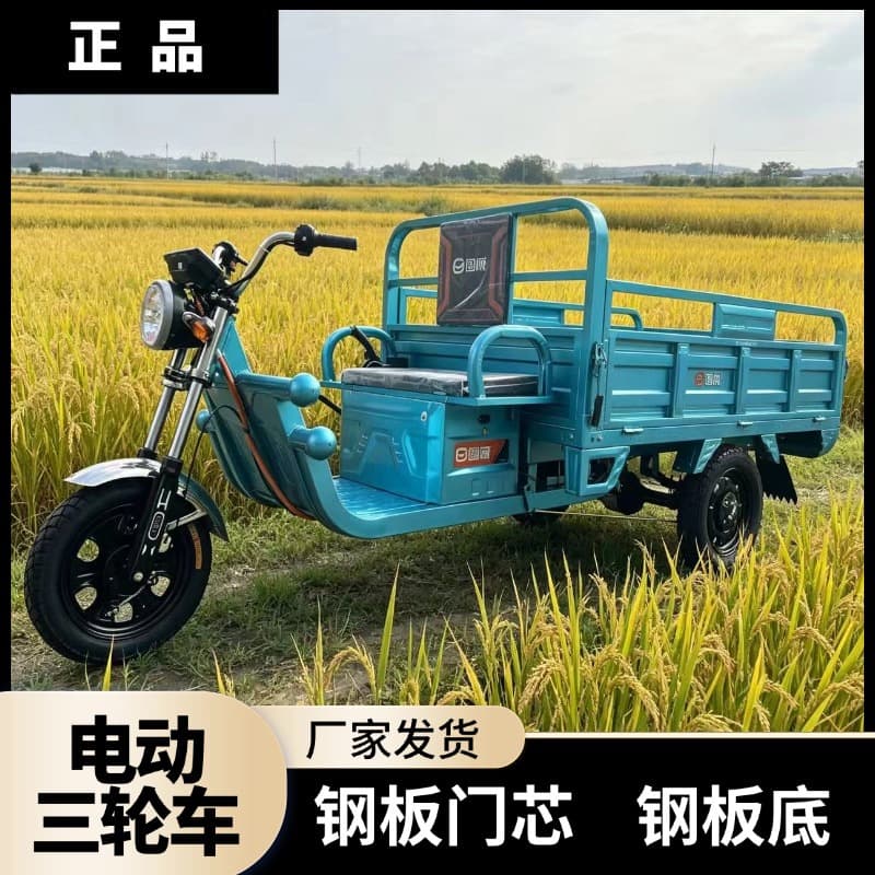 Guowei Electric Tricycle Cargo 1.8m 1000W Steel Plate Heavy-Duty Freight Agricultural Electric Tricycle