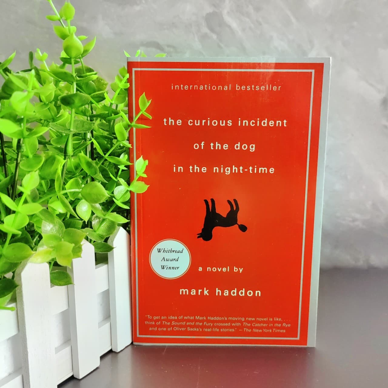 The Curious Incident of the Dog in the Night (English Version)