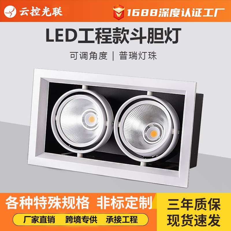 Adjustable Angle COB Grid Downlight for Shopping Malls, Exhibition Halls, Hotels, Embedded Single/Dual Head LED Ceiling Light