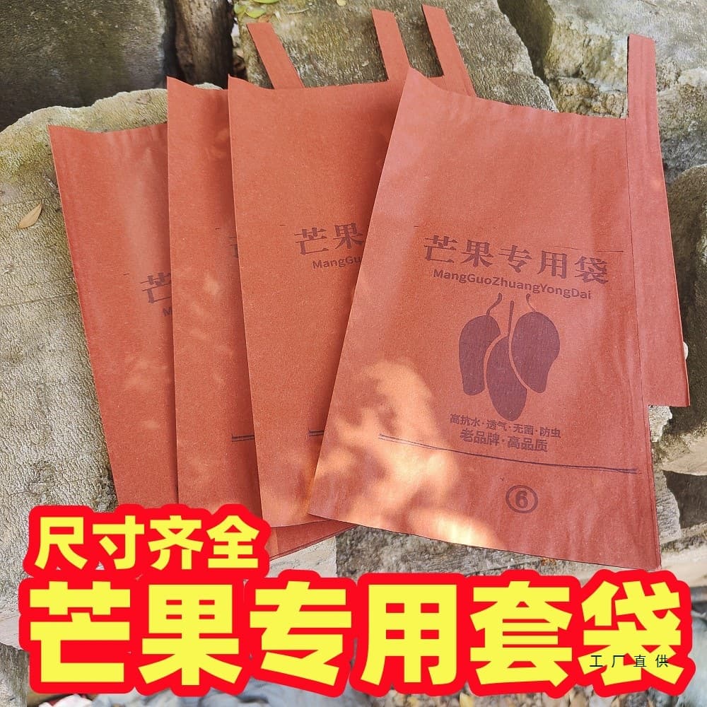 Double-layer bagged mango bagging golden yellow mango insect-proof bird fruit noble concubine mango jade text Taiwan mango concubine Taiwan bud mango
