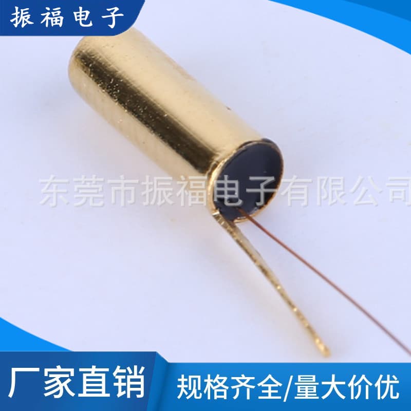 Factory Wholesale SW58010 Vibration Switch Wholesale Small Vibration Switch Spring Type Vibration Switch