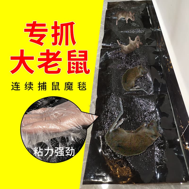 Super Strong Sticky Mouse Trap, Rodent Control Magic Mat, Glue Board, Mouse Catcher, Wholesale Drop Shipping