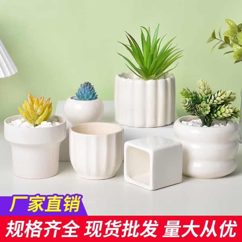 White Porcelain Flower Pots Cross-Border Amazon Succulent Ceramic Pots Simple Creative Black and White Indoor Orchid Green Plant Pots