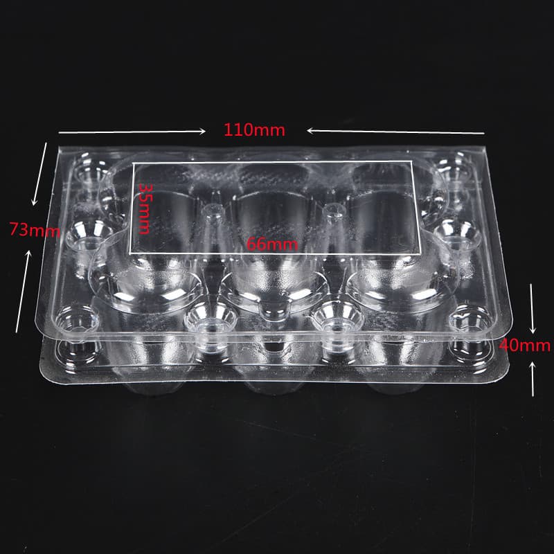 Disposable Clear Plastic Quail Egg Packaging Box PET Blister Plastic Egg Tray Shockproof Quail Egg Packaging Box