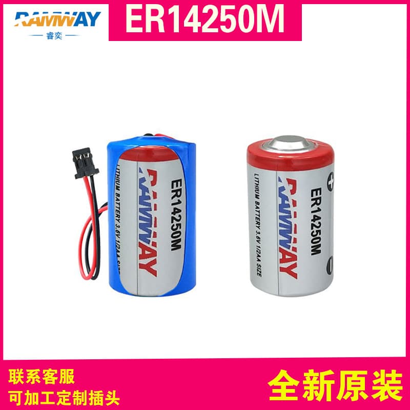 Ruiyi ER14250 Delta Programmer ETC Electronic Tag PLC Industrial Control Equipment 3.6 V Lithium Battery