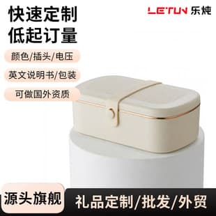 Heated Lunch Box, Electric Lunch Box, No Water Needed, Plug-in Lunch Box for Office Workers, Insulated Lunch Bag, Thermal Lunch Box