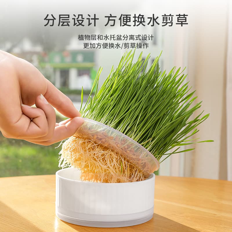 Hydroponic Cat Grass Seedling Tray, Wheat Cat Grass Mint Cultivation Dish Cup, Wholesale Pet Snacks Green Plant Tray