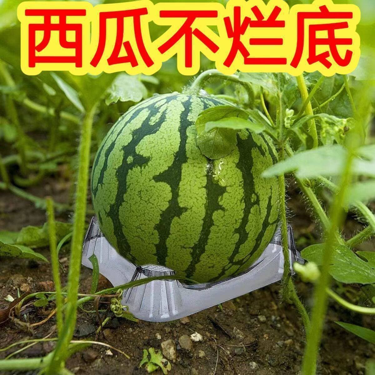 Watermelon Shaping Anti-Deformation Fruit Support Anti-Dirty Anti-Bite Pad Thickened Base Planting Tool Anti-Rot Fruit Pad