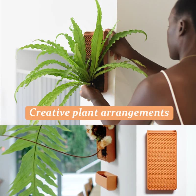 Cross-border New Hydroponic Plant Blocks Self-Watering Hydroponic Plant Blocks Holiday Gift