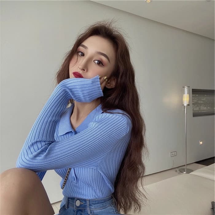 Blue Button-Up Knit Top Long Sleeve New Fall/Winter Slim Fit Short Crop Top New Inner Layer Sweater for Women