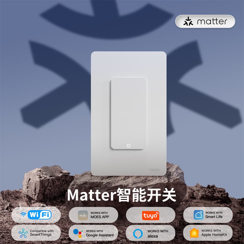 Smart WiFi Home Automation Switch Remote Voice Control Double Panel Button App Operated Fireproof PC Material Brass Sheet