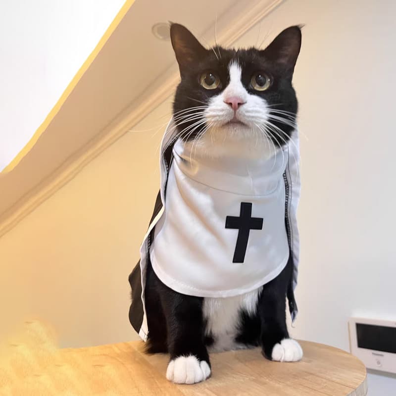 Cat Costume Pet Clothing Dog Dress-Up Funny Cosplay Photo Prop Small and Medium Pet Apparel Cat Nun Costume