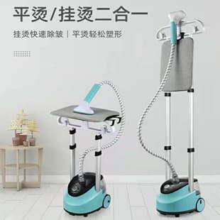 New Household Dual-Rod Steam Electric Iron, Large Capacity High Power Iron, Cross-border Small Handheld Clothes Steamer, Vertical