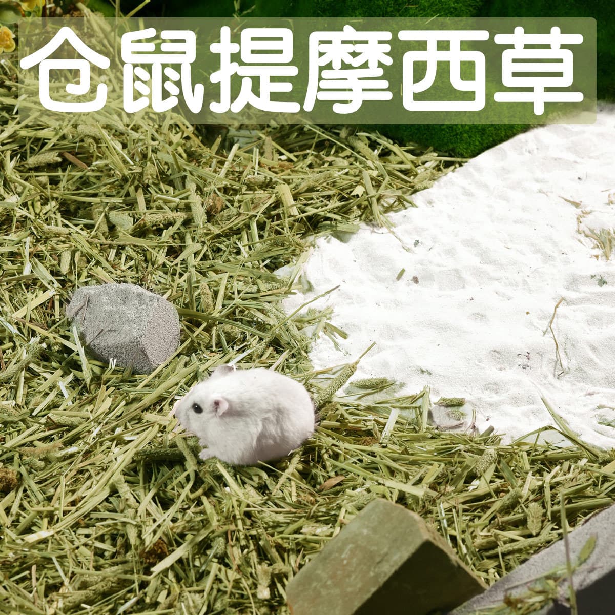 Timothy grass hamster sawdust bedding special summer season golden bear deodorant particles dust-free urine sand dust-free product