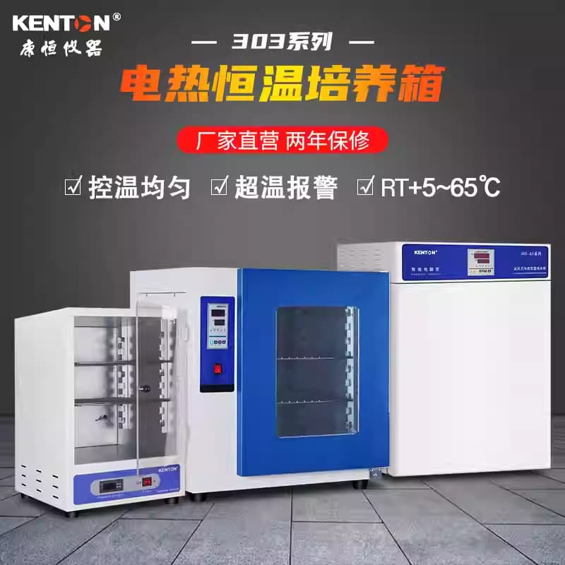 Kangheng 303 Series CE Certified Electric Heating Incubator, Galvanized/201 Stainless Steel Available, Cross-border Trade Supported