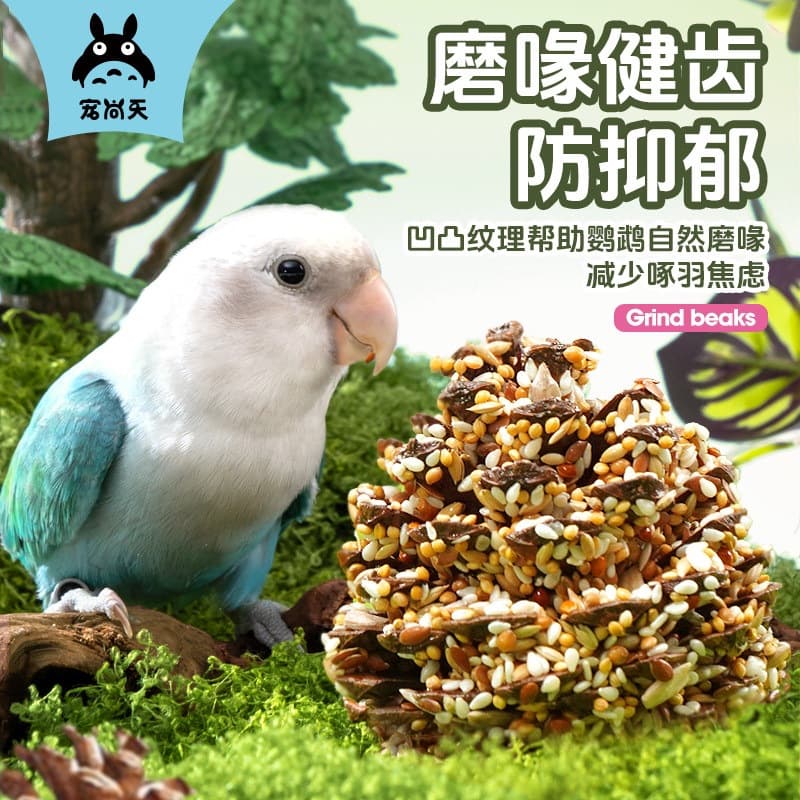 Pet Shangtian parrot pine cone ball training reward snack special beak grinding and chewing toys bird food supplies hibiscus bird