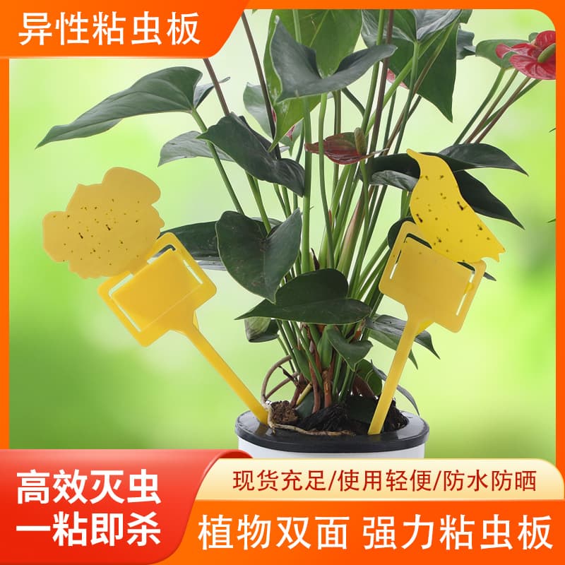 Double-sided irregularly shaped sticky insect trap, fruit fly trap, yellow sticker insect trap, plant protection insect attractant board