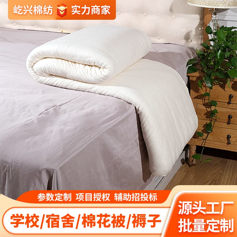 Factory Custom Xinjiang Cotton Quilt, Thickened All-Season Quilt, Dormitory Mattress Batting, Autumn and Winter Warm Quilt Core