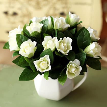 Rose seeds, easy-to-grow flower seeds, green plants, blooming all year round, fresh flower seeds for indoor potted plants and outdoor gardens