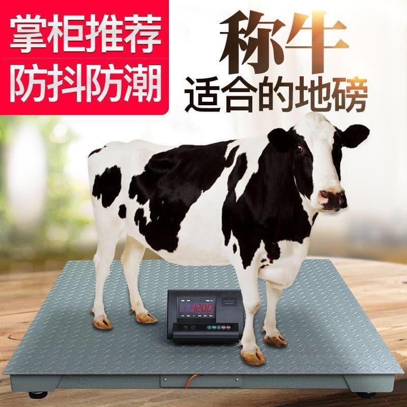 Weighbridge scales for pigs, cattle, and sheep: anti-shake 1-3 ton platform industrial small electronic weighbridge scales with free shipping.
