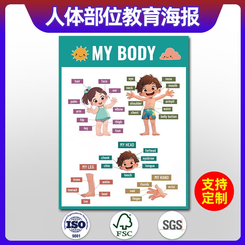 Human Body Parts Educational Poster, Cognitive Learning Poster, Kindergarten English Word Poster, School Classroom, Cross-border