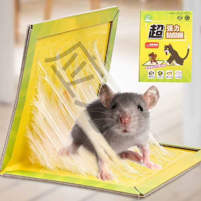 Mouse-catching artifact sticky mouse board household mouse cage dipped in glue clip medicine to catch big mice with strong sticky mouse board free shipping