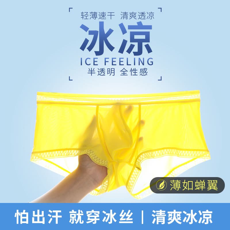 Summer 2021 New Semi-Transparent Ice Silk Men's Briefs, Sexy Men's Boxer Briefs, Youth Men's Underwear