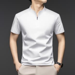 Cross-border Summer Men's Polo Shirt Short Sleeve Stand Collar Casual Half Zip Ice Silk T-Shirt Men Business Casual Clothes Fashion