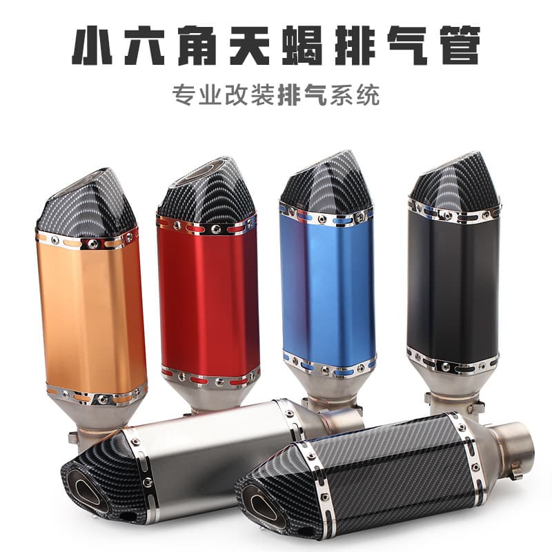 Universal Motorcycle Off-Road Car Racing Sound Small Hexagonal Scorpion Exhaust Pipe Modification Yamaha Kawasaki Huanglong 600 Stainless Steel