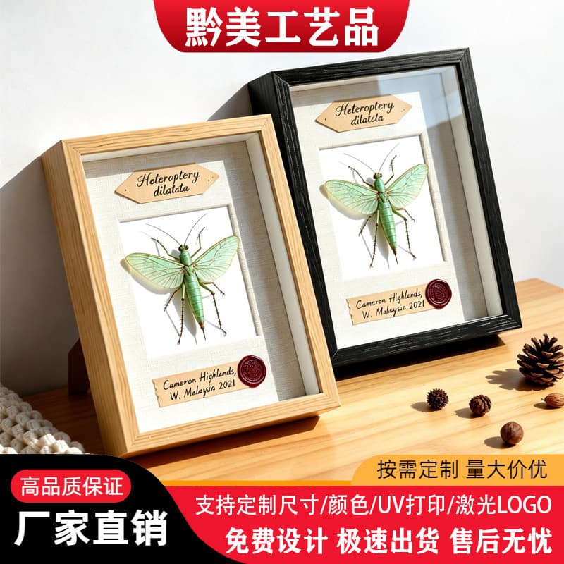 Processed and customized hollow photo frame insect specimen beetle unicorn fairy butterfly spread wings specimen dustproof can be hung picture frame