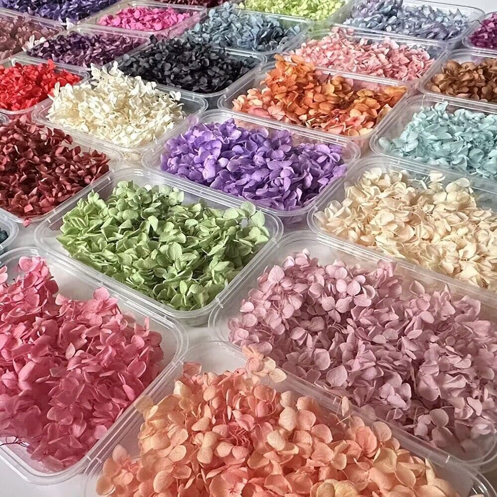 Hydrangea Scented Candle Handmade DIY Plant Flower Floral Material Dried Flower Real Flower Preserved Flower Decoration Material Petals