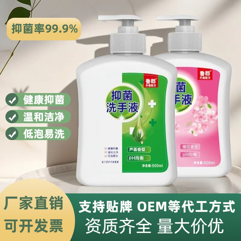 Factory Wholesale Antibacterial Hand Wash 500ml Household Moisturizing Light Scent Children's Hand Wash Gift