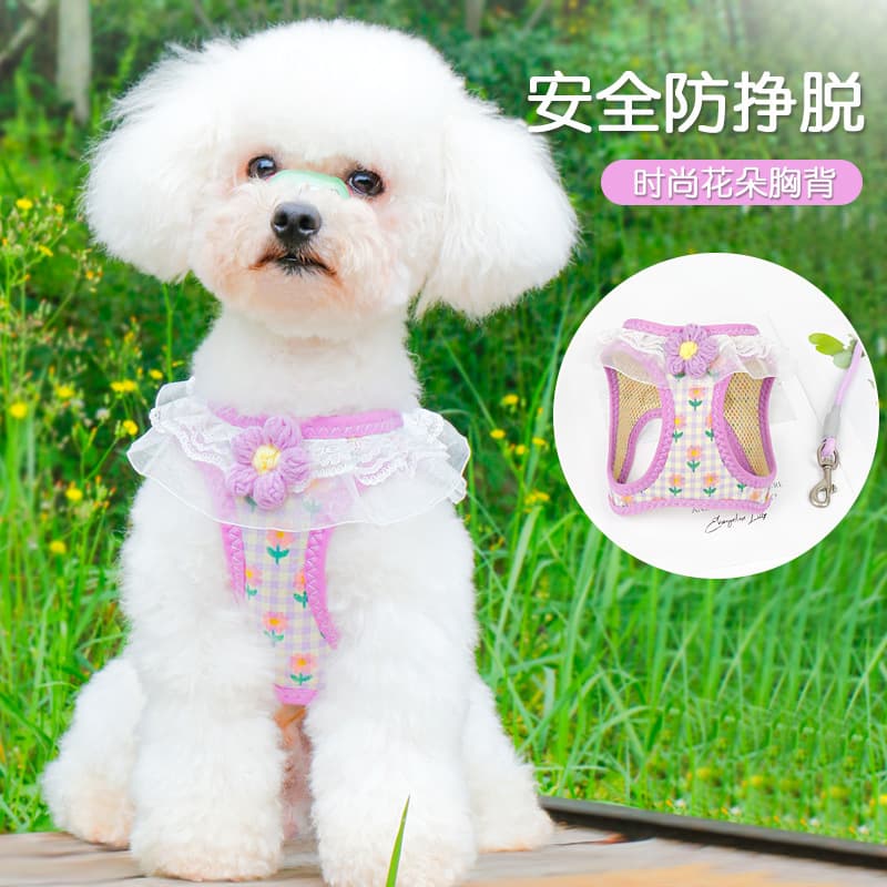 Dog Harness Vest for Small Dogs, Teddy, Bichon, Pomeranian, Puppy Chest Strap and Leash Set