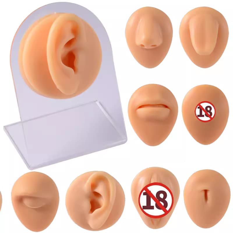 Silicone Facial Piercing Practice Model - Ear, Nose, Eye, Eyebrow, Tongue, Lip Teaching Practice