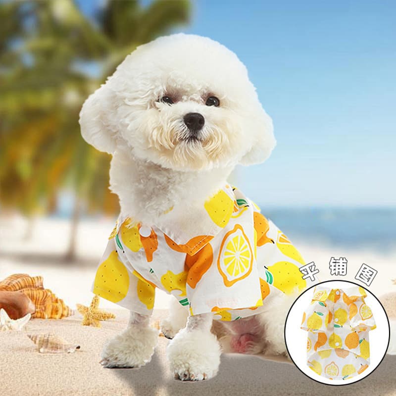 Cross-border Spring/Summer Breathable Pet Clothing Watermelon Pineapple Lemon Beach Seaside Dog Walking Summer Shirt Dog Clothes