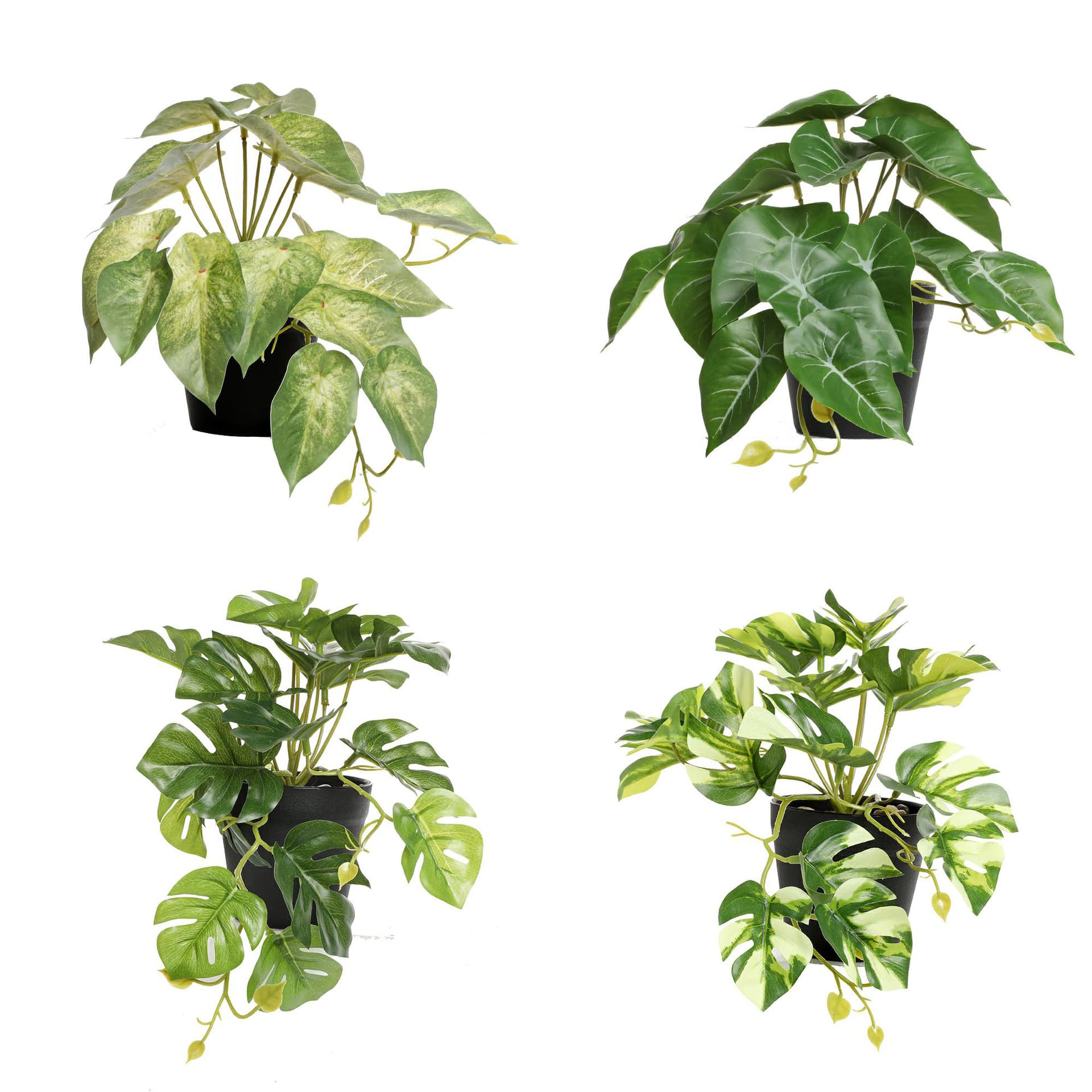Simulated green plant small potted plant, green radish turtle leaf sweet potato leaf simulated plant, plant wall artificial flower turtle leaf bonsai