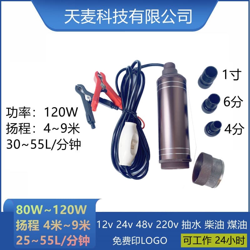 120W Electric Vehicle Water Pump, Vehicle-Mounted Small 12V Water Pump, 24V Battery DC Submersible Pump