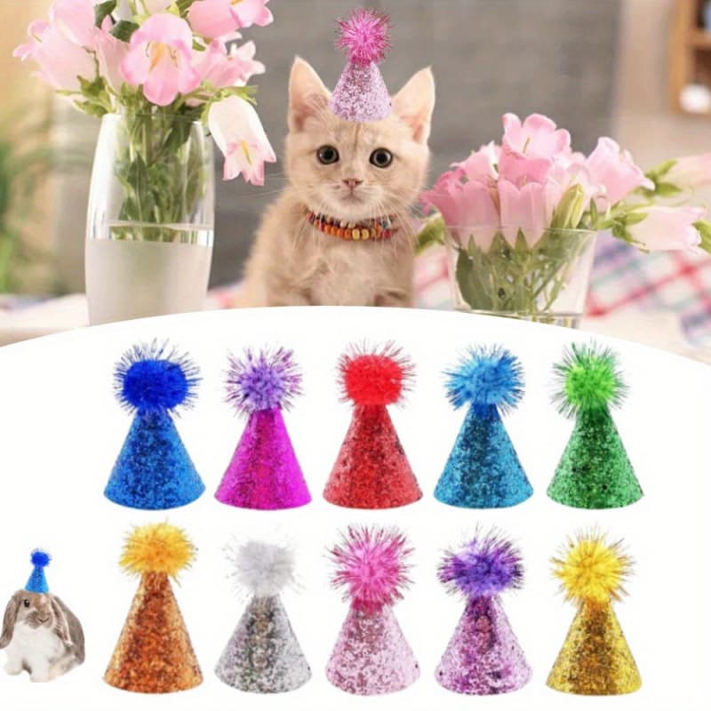Cross-Border 10-Piece Reusable Pet Party Hats New Reusable Pet Party Hats