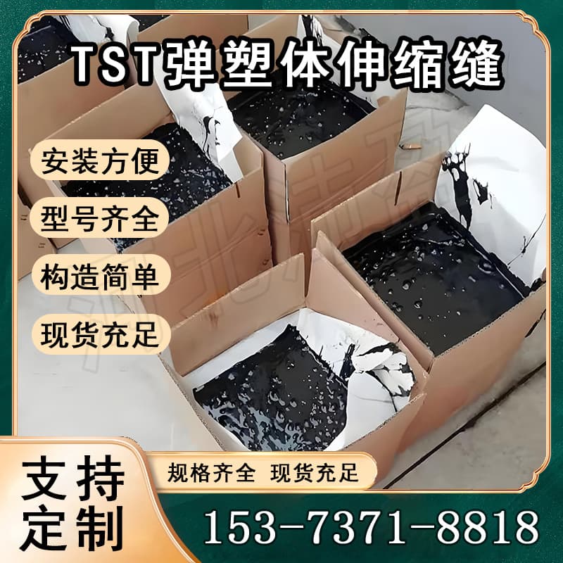 TST seamless expansion joints A elastoplastic seamless expansion joints A bridge highway rapid construction noise-reducing expansion joints.