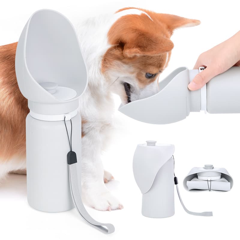 Folding Water Bottle and Drinking Fountain for Dog Walking