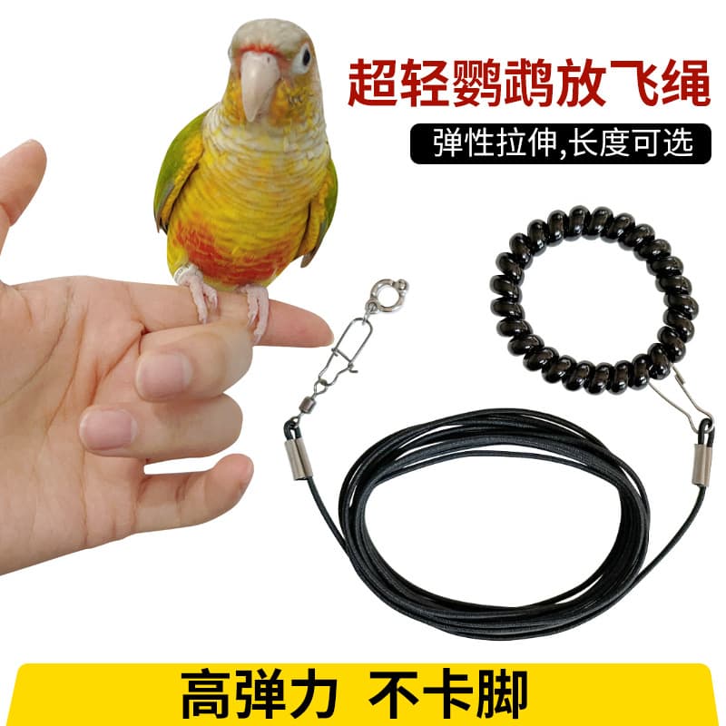 Parrot Flying Rope for Small Pet Birds, Ultra-Light Traction Extension Rope for Budgerigars, Lovebirds, Cockatiels, Small Sunbirds, and Monk Parakeets