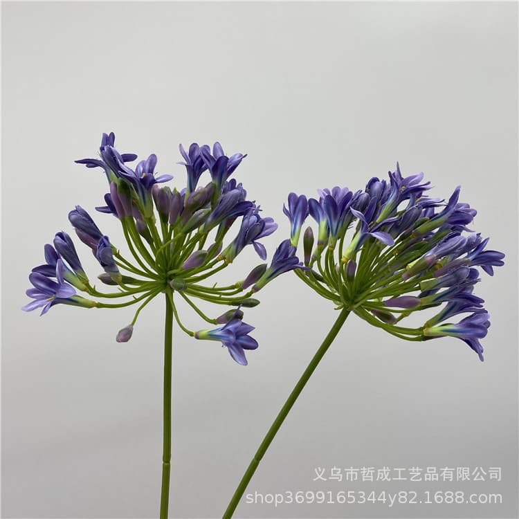 Agapanthus, a European-style artificial flower arrangement for home decoration, wedding photography, hand-held bouquets, and business hotels.